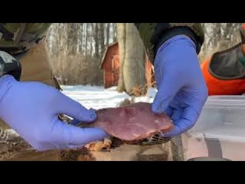 How to Skin and Breast a Pheasant (Graphic).