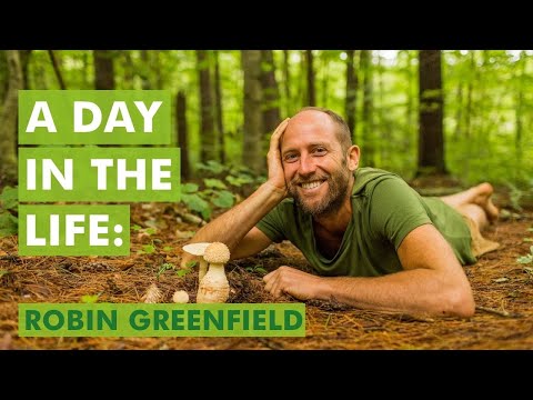 A Day in the Life of Robin Greenfield - Living Simply and Sustainably