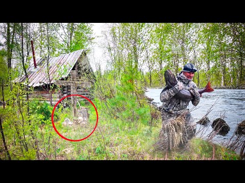 БЕЗЛЮДНЫЕ ИЗБЫ! МЕДВЕДИ СОЖРАЛИ ОХОТНИКОВ И ЖИВУТ В НИХ !?ТАЙМЕНИ. СЕВЕРНАЯ РЫБАЛКА