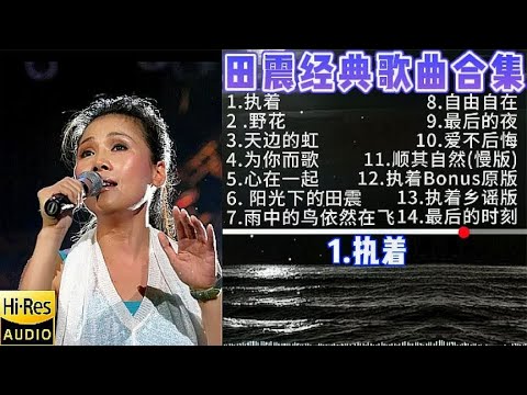 无损音质 田震经典流行歌曲合集 执着 野花 天边的虹
