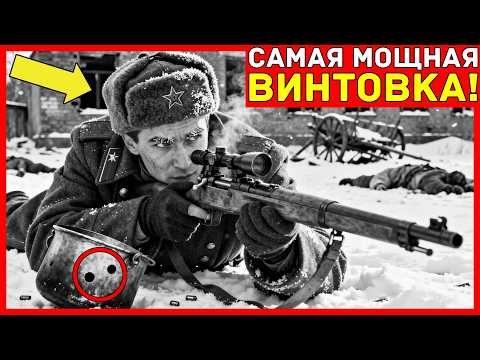 ПОВАР с БЕСПОЛЕЗНОЙ винтовкой УНИЧТОЖИЛ ПУЛЕМЕТНЫЙ расчёт с 1100 метров — его ПЕРЕВЕЛИ в снайперы...