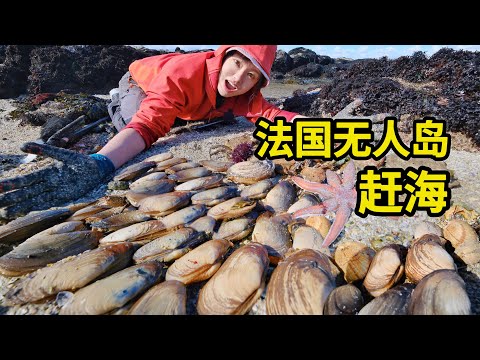法国无人岛赶海，鲍鱼海参随便捡，紫色海胆味鲜 | 赶海 | 鲍鱼 | 海鲜 | 法国 | 海胆 |