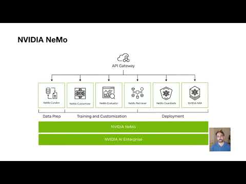 Fine-tuning with PEFT using NVIDIA NeMo in Domino