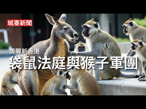 城寨新聞 II 11/2/26: 陳凱欣建議狗隻上儀態訓練班才可入食肆 鄧炳強反駁華盛頓郵報袋鼠法庭論 猴子軍團假券商帳戶大舉襲港抽身股 中共催谷香港IPO雞棚假象 重量不重質只要做世一證明由治及興