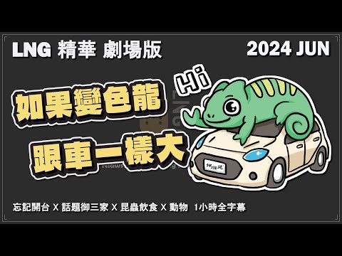 【LNG精華 劇場版】跟車一樣大的害羞變色龍大在褲子上 - 在大安森林公園 (本片無任何真實昆蟲和兩棲類照片)