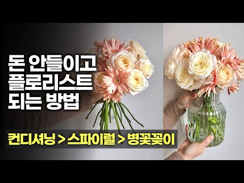 (Eng CC) Florist 101 - Conditioning | spiral | Learn how to do flower arrangement