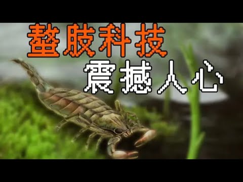 【鬼谷说】蜘蛛前传：千万年未有之大变局