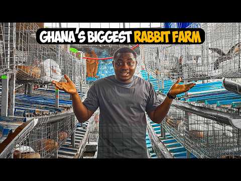Inside One of the Biggest Rabbit Farms in Ghana 🇬🇭 | 400 Capacity with Exotic Breeds