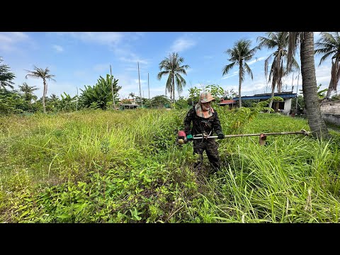 Old Teacher Tragedy Paralyzed Boy Needs Help Cut the grass to transform and clean the large garden