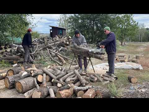 Заготовка дров для всей семьи! Работаю вместе с братьями!