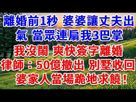 離婚前1秒 婆婆讓丈夫出氣，當眾連扇我3巴掌：窮酸貨就該滾回鄉下！我沒鬧 爽快簽字離婚，律師：50億股權撤出別墅收回，婆家人當場跪地求饒 結局超爽！#詩涵講故事#為人處世#生活經驗#情感故事#晚年哲理