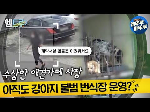 [#실화탐사대] 수상한 애견카페 사장 아직도 강아지 불법 번식장 운영? #엠뚜루마뚜루 #엠트루 MBC230126방송
