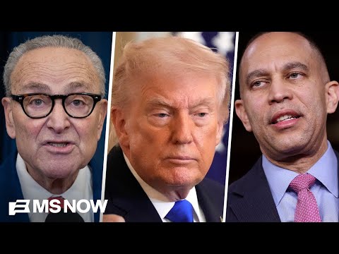 Midterms will be 'much more than just a check and balance' on Trump: Fmr. Senator