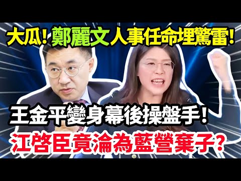 年度大瓜！鄭麗文人事任命埋驚雷！王金平變身幕後操盤手，江啓臣竟淪為藍營棄子？#鄭麗文