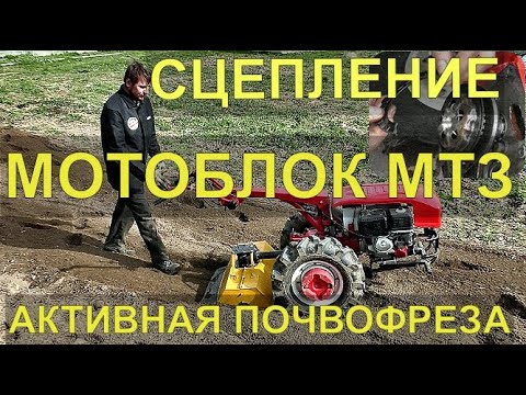 Motoblock MTZ burned the clutch. Active rotary tiller in operation.