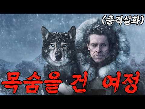 🔥🔥🐺모든 걸 바꾼 늑대개의 진짜 이야기… 인류가 감사해야 할 레전드🐺🔥🔥  (영화리뷰/결말포함)