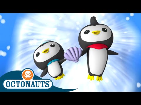 Octonauts - The Great Penguin Race | Cartoons for Kids | Underwater Sea Education