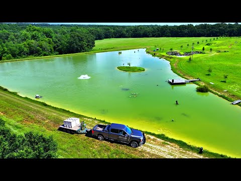 Adding 12,000 Fish to the 5 Acre Pond!