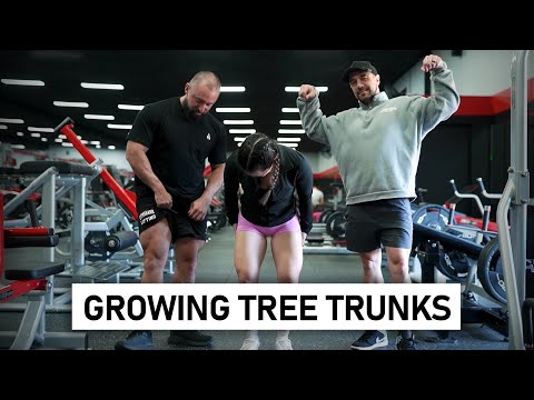 Quad & calf training - Tips, mistakes, best exercises