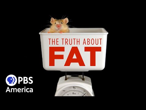 The Truth About Fat (2020) | Full Documentary | NOVA