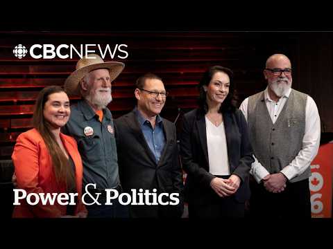 NDP must prioritize 'rebuilding,' winning seats: leadership candidate McPherson | Power & Politics