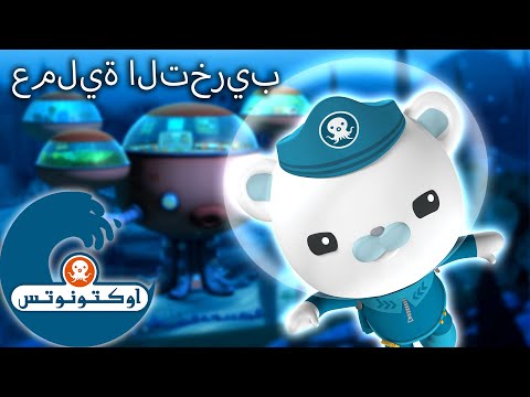 أوكتونوتس | عملية التخريب | حلقات مُجمعّة
