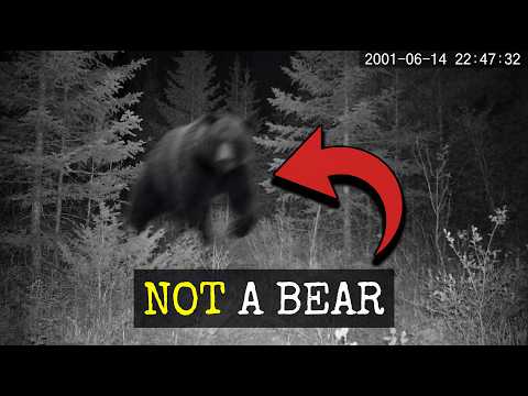 There’s Something VERY WRONG In Our National Forests