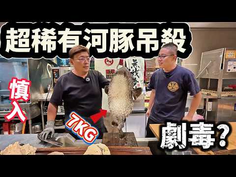 劇毒河豚?郭師傅12斤巨獸河豚吊殺全過程 重達一公斤的河豚肝是什麼味道 吃到全身迷幻 超精彩全紀錄 稀有巨大品種!!@Chefkzk