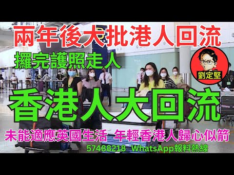 香港人大回流。BNO系列11