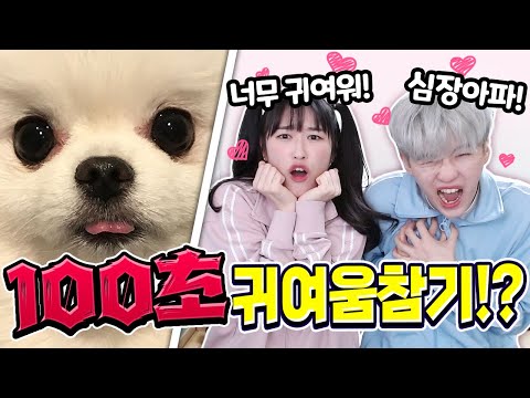 백앤아는 귀여움을 몇초동안 참을 수 있을까!?