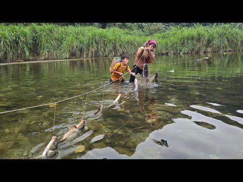 set a fishing trap with earthworms, harvest fish to sell and cook a delicious meal - highland boy