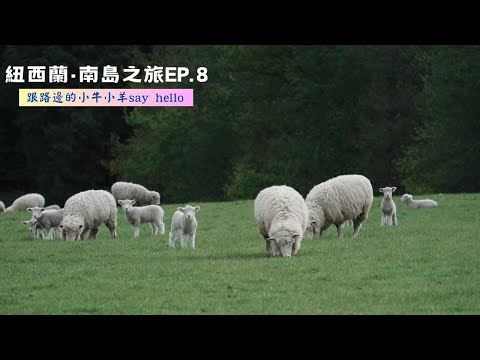[紐西蘭·南島之旅EP. 8]開箱我整趟旅程唯一指定亞洲餐廳！這天終於不再是住露營車啦！在民宿裡暢聊整趟紐西蘭旅程！