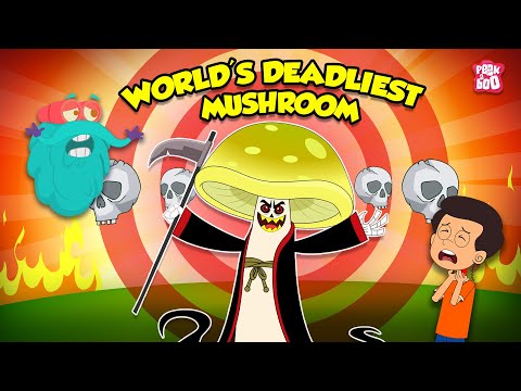 World's Deadliest Mushroom - Death Cap Mushroom | Poisonous Mushrooms | Amanita Phalloides