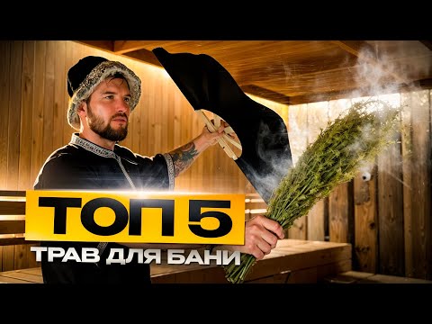 ТОП 5 трав для бани. Парение с ромашкой, зверобоем и другими.