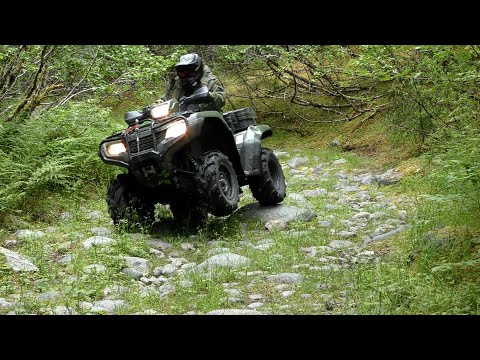 Boulders And Driftwood