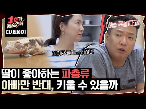 [다시봐야지] 박준형이 싫어하고 딸이 좋아하는 도마뱀, 키우고 싶어서 냅다 집에 데려 온 김지혜｜1호가될순없어｜JTBC 200603 방송 외