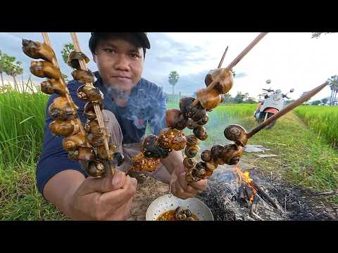 Vlog + Alone Outdoor Adventure At The Fields And Catch Snail To Cook