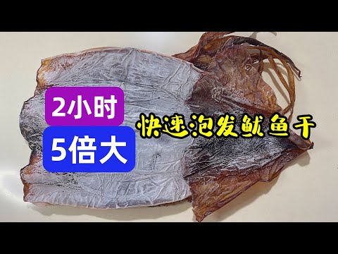 泡發幹魷魚墨魚，別只用堿水和清水，海邊人教的做法，2小時5倍大 How to Soak Dried Squid
