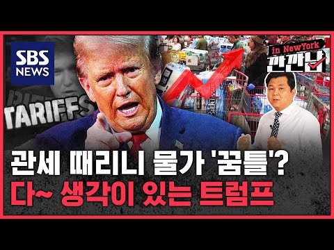 물가 올라도 어쩔 수 없다…'관세광' 트럼프의 속셈은? / SBS / 깐깐남in뉴욕