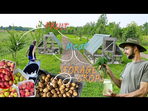 How we MAXIMIZE a SMALL piece of land!