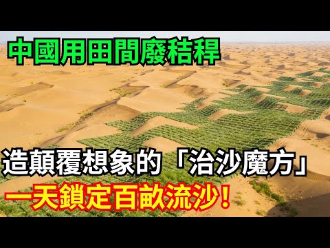 中國用田間廢稭稈，造顛覆想象的「治沙魔方」，一天鎖定百畝流沙！#治沙魔方 #流沙固定 #中國 #綠色治沙 #稭稈 #三北工程 #生態循環經濟