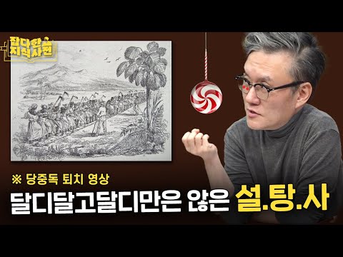 아프리카 노예무역과 설탕의 역사 🍰 / 힌두교 설파에 이용된 설탕
