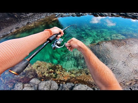 Ultra Clear Rock Pool Fishing!