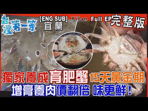 [全新] 宜蘭【獨家養成「育肥蟹」15天黃金期"增膏養肉"價翻倍！肥厚脂肪肝 顛覆味蕾/另類水族樂園"鯊"親密餵食秀，野外採"西施舌"深藏不露 粒粒皆辛苦】│2023.11.26│《台灣第一等》完整版