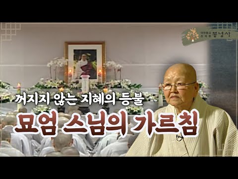 꺼지지 않는 지혜의 등불🕯️ | 세주당 묘엄명사(2012년 BTN 추모특집)