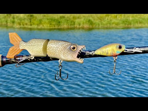 Pike Eating a CrankBait Lure | One Day Build to Catch