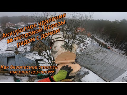 Арбористика!! Аккуратный спил 30 метровой березы рядом с домом! Как спилить опасное высокое дерево??