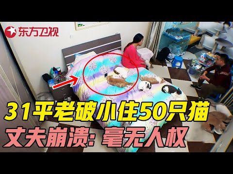 夫妻与50只猫同住31平老破小, 丈夫崩溃大喊: 连床都不能睡, 简直没有人权! #生活改造家 EP01 FULL