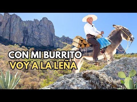 CRECIMOS CON HUARACHES Y MAL VESTIDOS 😔