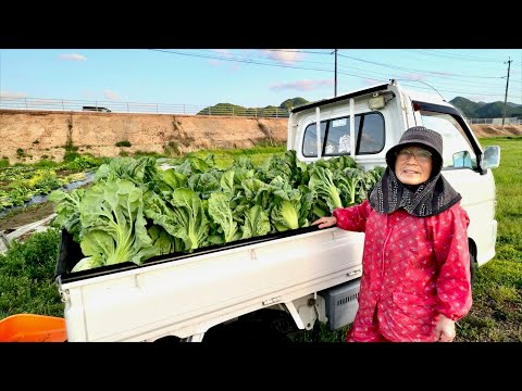 Japanese Grandma Makes Two Years’ Worth of Pickles